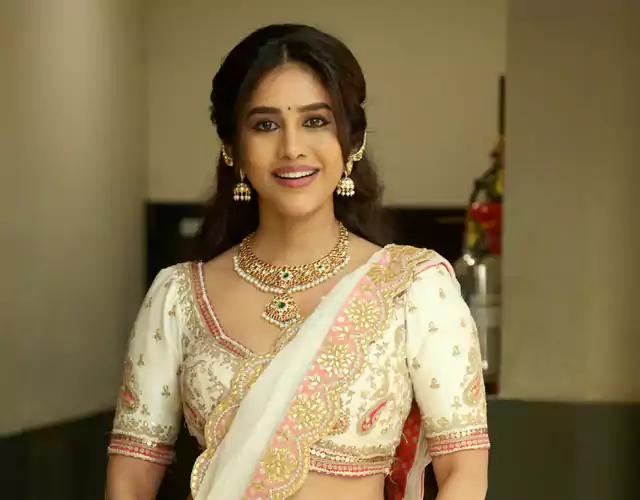 Nabha Natesh Grace Draped in Tradition